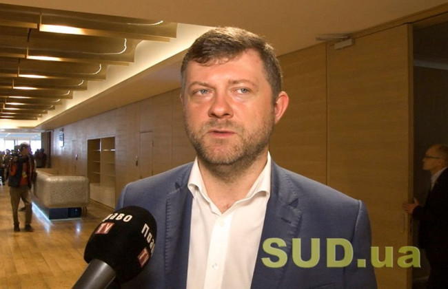 В «Слуге народа» планируют вести параллельный подсчет голосов на местных выборах