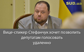 Вице-спикер Стефанчук хочет позволить депутатам голосовать удаленно