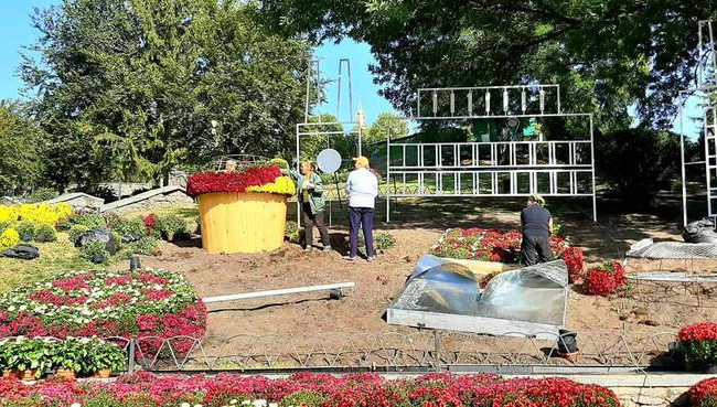 У Києві відкриють виставку хризантем