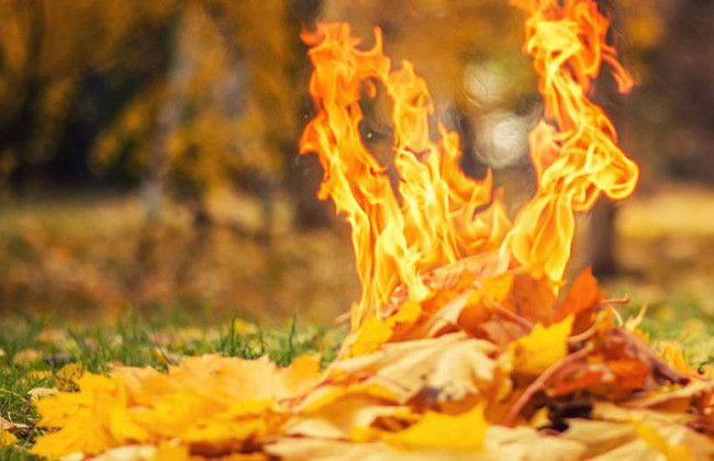 Не  штрафом єдиним: за  спалення опалого листя загрожує  тюрма