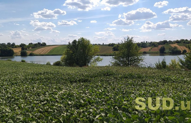 Державна реєстрація фермерського господарства: що варто знати