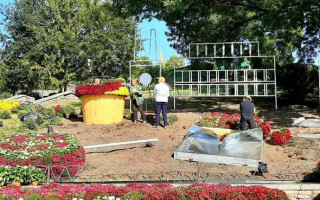 У Києві відкриють виставку хризантем