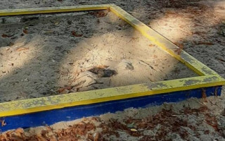 Під Дніпром у пісочниці живодери закопали собаку