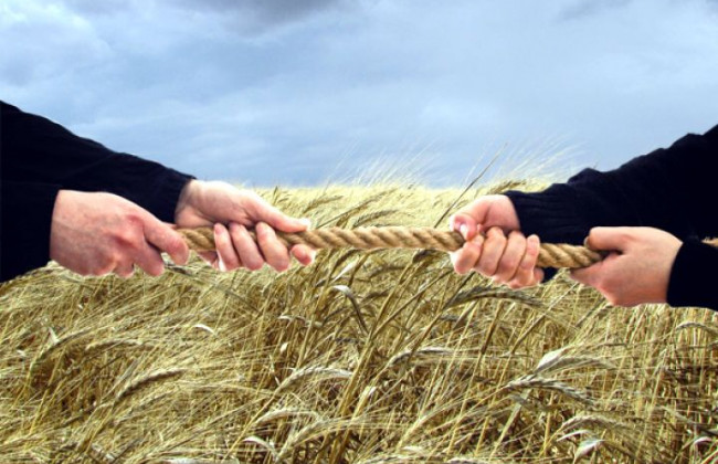 Почав роботу електронний сервіс, що допоможе захиститися від земельних рейдерів