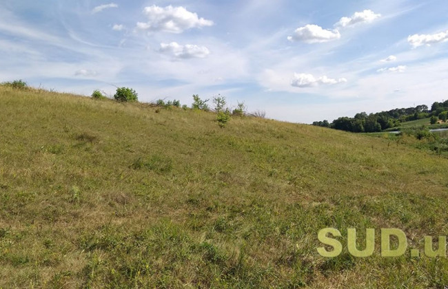 Скасування наказу Держгеокадастру про відмову у відведенні позивачу земельної ділянки: судова практика