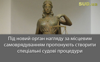 Під новий орган нагляду за місцевим самоврядуванням пропонують створити спеціальні судові процедури
