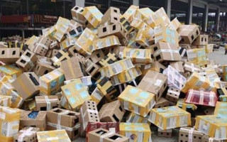 Около 5 000 смертей: животные погибли в посылках в Китае, фото и видео