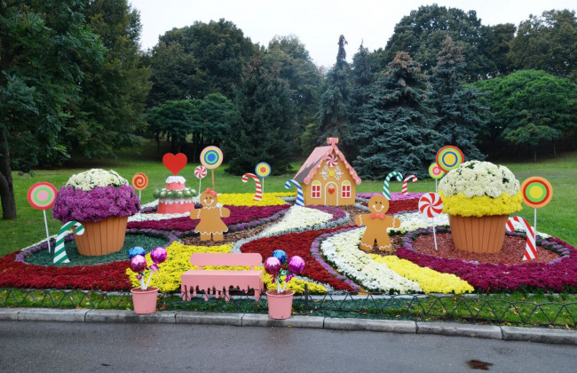 На Певческом поле открылась уникальная выставка хризантем