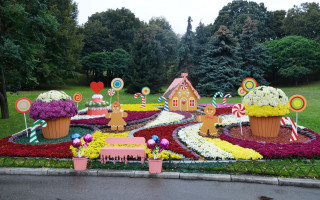 На Певческом поле открылась уникальная выставка хризантем