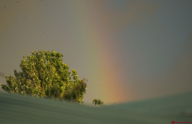 Жителей Одессы впечатлило яркое природное явление, фото