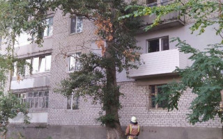 Намагався зняти кота з дерева, а застряг сам – інцидент на Кіровоградщині