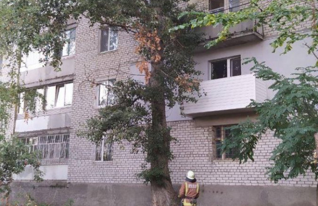 Намагався зняти кота з дерева, а застряг сам – інцидент на Кіровоградщині