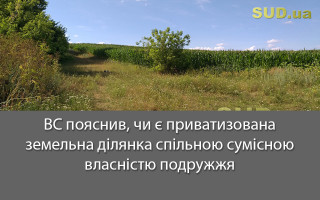 ВС пояснив, чи є приватизована земельна ділянка спільною сумісною власністю подружжя
