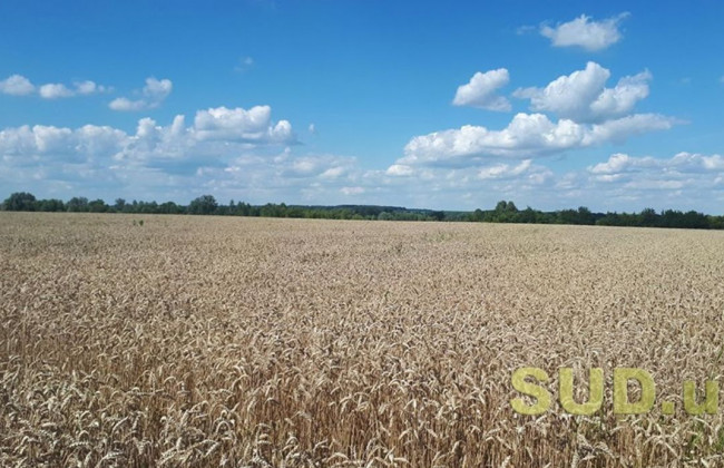 Хто має право отримати безоплатно у власність частину земельної ділянки, що перебуває у користуванні фермерського господарства