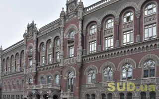 Голова Ради НБУ розповів, чому Рожковій та Сологубу винесли догани