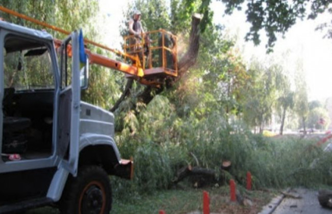 Правоохоронний комітет ВР підтримав боротьбу з «бетонним тероризмом»