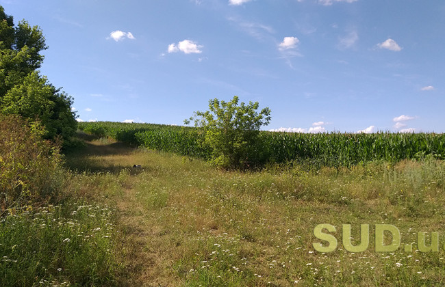 Використання земельної ділянки за цільовим призначенням: позиція ВС