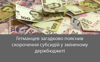 Гетманцев загадково пояснив скорочення субсидій у зміненому держбюджеті