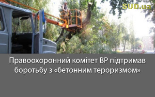 Правоохоронний комітет ВР підтримав боротьбу з «бетонним тероризмом»