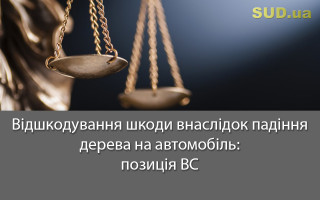 Відшкодування шкоди внаслідок падіння дерева на автомобіль: позиція ВС