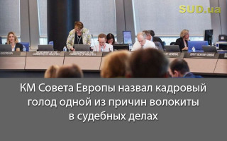 КМ Совета Европы назвал кадровый голод одной из причин волокиты в судебных делах