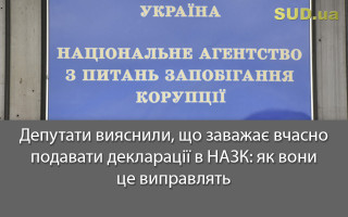 Депутати з'ясували, що заважає вчасно подавати декларації у НАЗК: як вони це виправлять