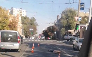 В Харькове водитель фургона насмерть сбил пенсионерку: объявлен план-перехват, фото