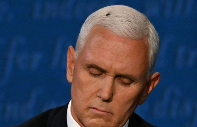 Казус во время дебатов в США: муха села на голову Пенса и это «взорвало» сеть, фото