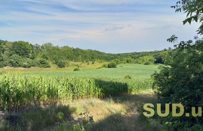 Законопроект, названий земельною Конституцією, підготовлений до ухвалення в цілому