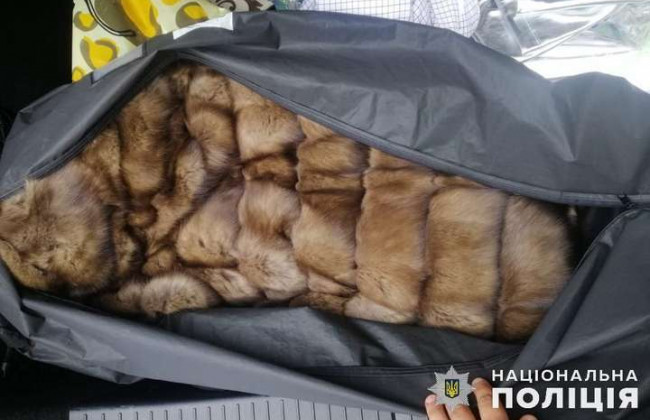 Крадіжка на мільйон: покоївка викрала у господарів соболину шубу