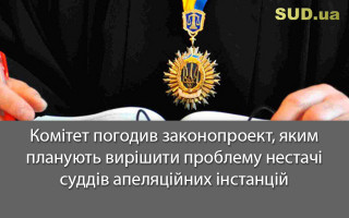 Комітет погодив законопроект, яким планують вирішити проблему нестачі суддів апеляційних інстанцій