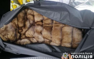 Крадіжка на мільйон: покоївка викрала у господарів соболину шубу