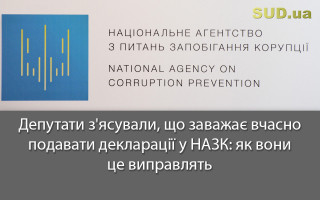 Депутати з'ясували, що заважає вчасно подавати декларації у НАЗК: як вони це виправлять
