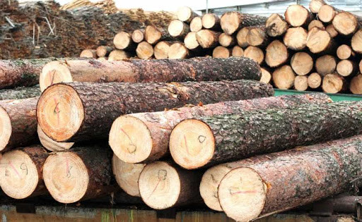 Депутат пропонує запровадити ринок деревини, щоб врятувати лісопромисловий комплекс