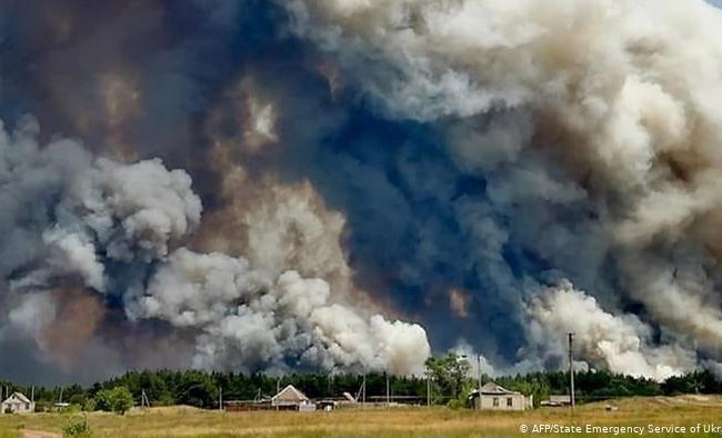 Уряд виділив кошти постраждалим від пожеж на Луганщині