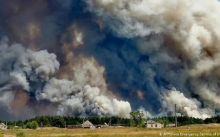 Уряд виділив кошти постраждалим від пожеж на Луганщині