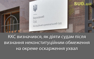 ККС визначився, як діяти судам після визнання неконституційним обмеження на окреме оскарження ухвал