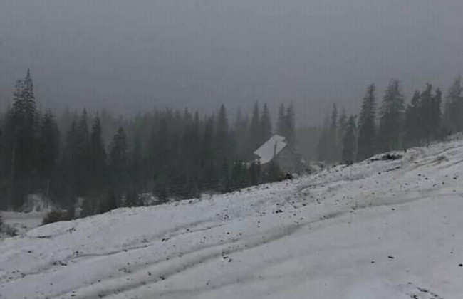 Карпаты укрыло снегом, температура упала ниже нуля: видео