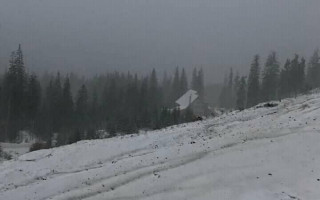 Карпаты укрыло снегом, температура упала ниже нуля: видео