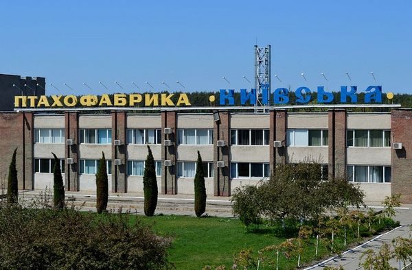 Птицефабрику под Киевом продали с аукциона почти за 1 млрд грн