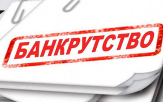 Бюджетні установи не підлягатимуть банкрутству: Закон набере чинності