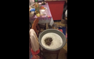 В Киеве после включения отопления дом затопило горячей водой, видео