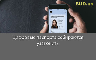 Цифровые паспорта собираются узаконить