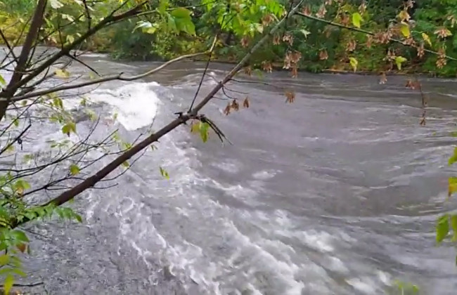 В Киеве река Лыбедь вышла из берегов, видео