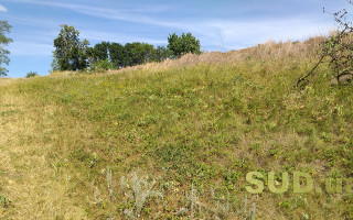 Стало відомо, чи вноситься до держреєстру нерухомості інформація про землю