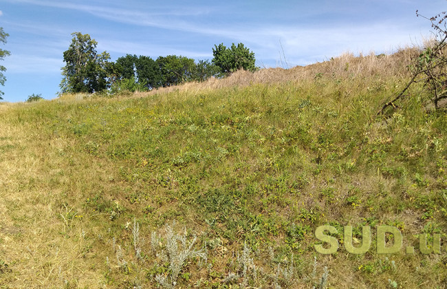 Стало відомо, чи вноситься до держреєстру нерухомості інформація про землю