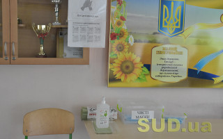 Выборы и COVID: ни на одном избирательном участке нет дезинфектора и прибора для измерения температуры