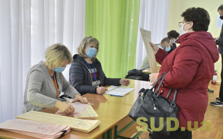 Местные выборы: явка избирателей составляет 27%