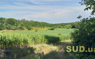 Назвали особливості створення сімейного фермерського господарства без набуття статусу юрособи