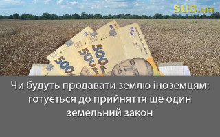 Чи будуть продавати землю іноземцям: готується до прийняття ще один земельний закон